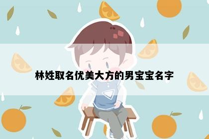 林姓取名优美大方的男宝宝名字