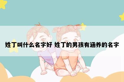 姓丁叫什么名字好 姓丁的男孩有涵养的名字